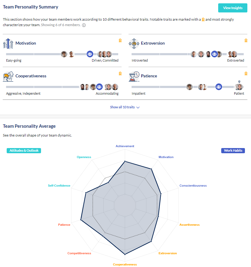 Example of a Team Personality Summary provided through Talent Insights helps Adam understand team dynamics